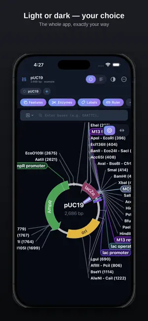 PlasmidViewer Pro screenshot 4