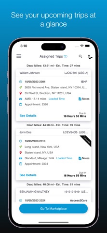 ElliPSES Driver screenshot