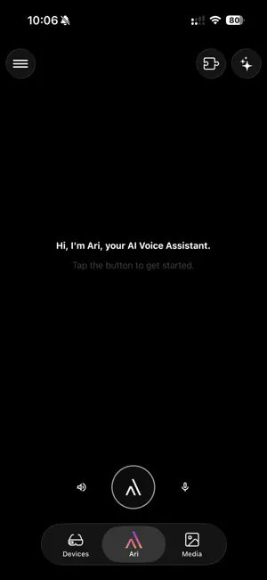 Ari Companion screenshot 3