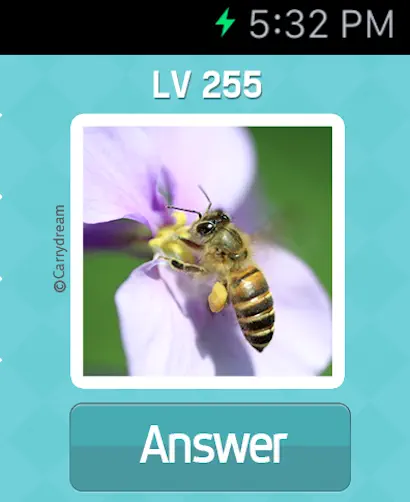 #6. Pictoword: Fun Word Quiz Games (iOS) 由: Kooapps