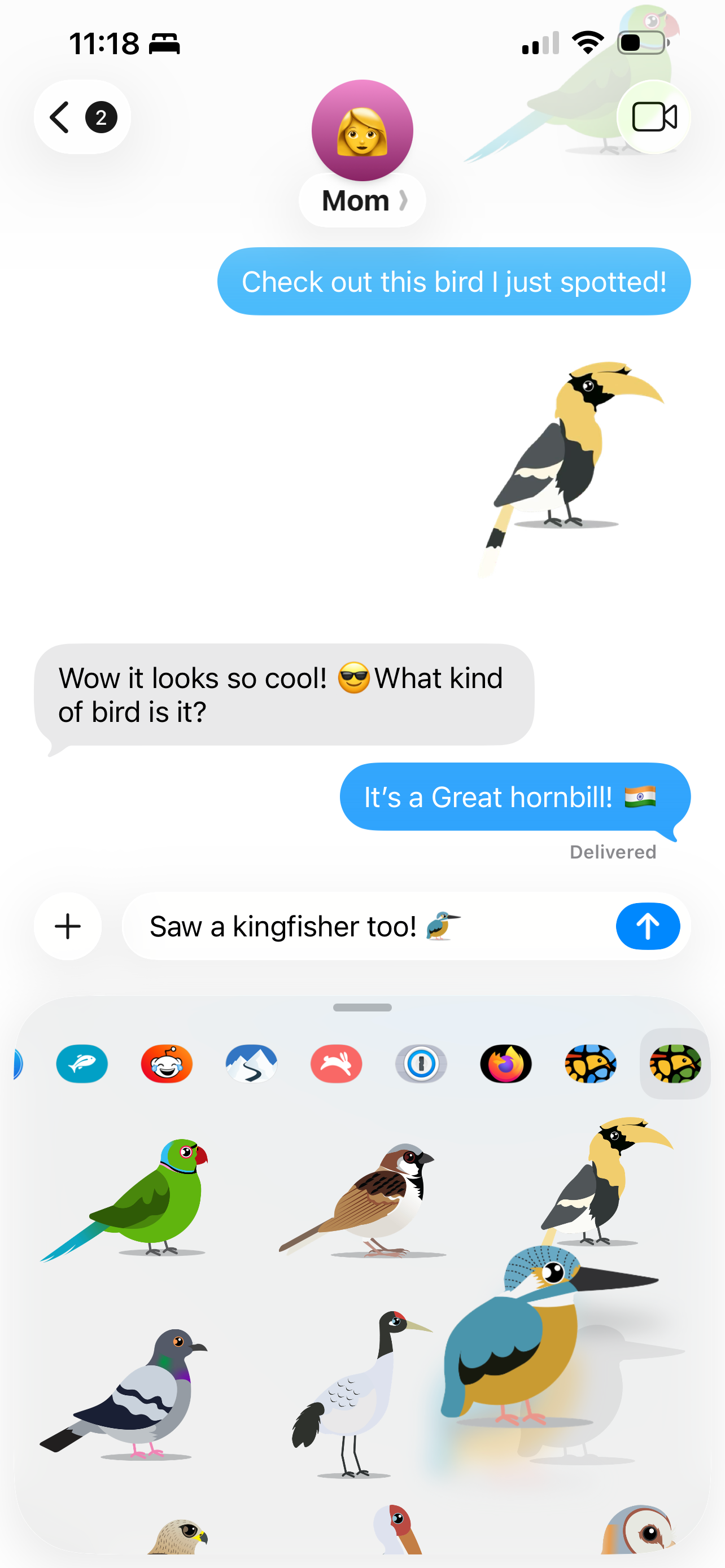 Bird Identifier: Smart Bird ID