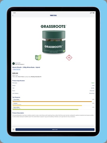 Bloom Rewards iPad screenshot