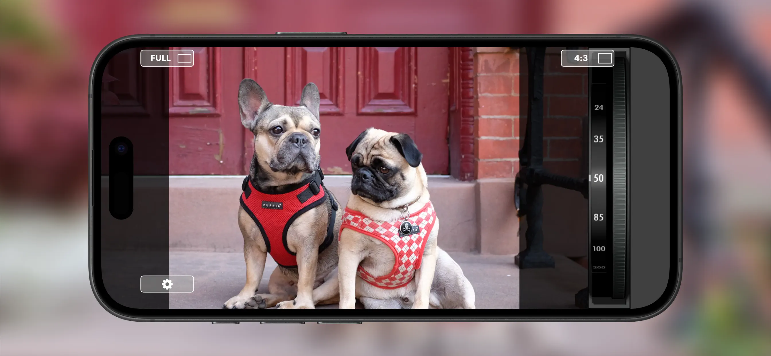 #5. LensPick (iOS) 由: The Curious Pixel Ltd.