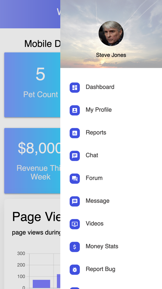 #3. Wizard's Toolkit Demo App (iOS) Podle: Alec Sherman