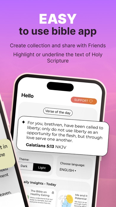 Holy Bible Study Audio - KJV Screenshot