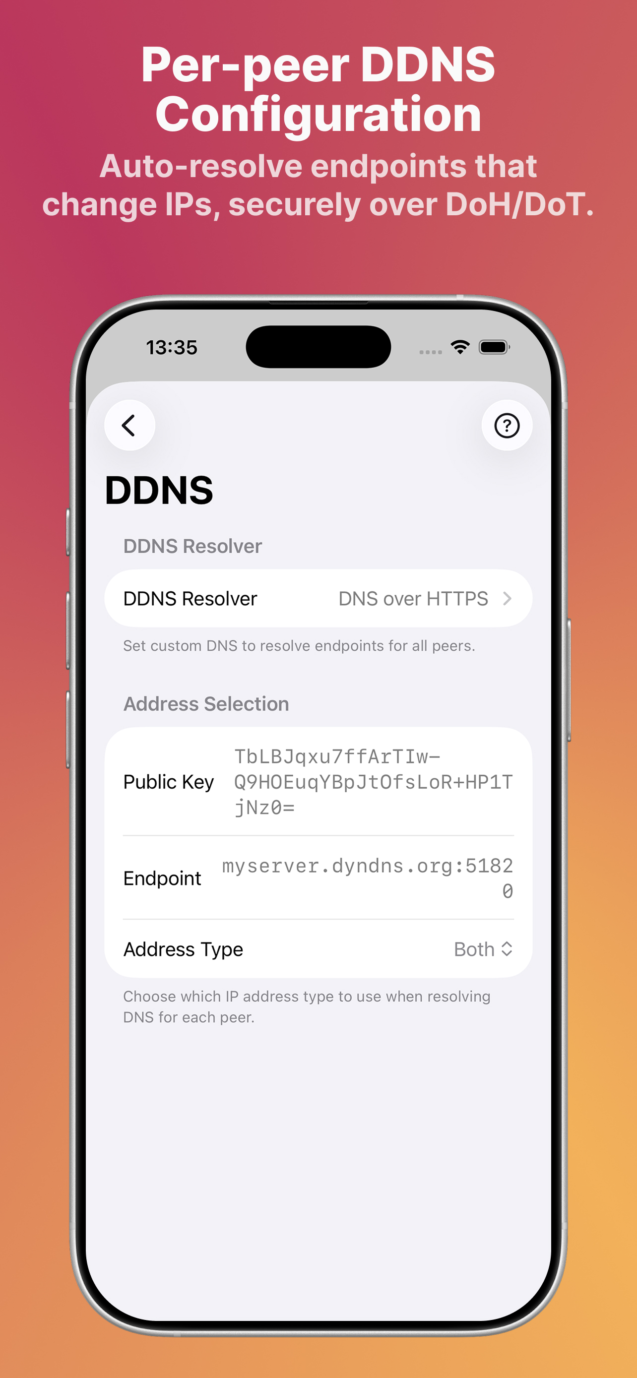 Xlarva - WireGuard VPN Client