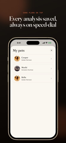 Pawdigree - Pet Breed Analysis Screenshot 6 of 6