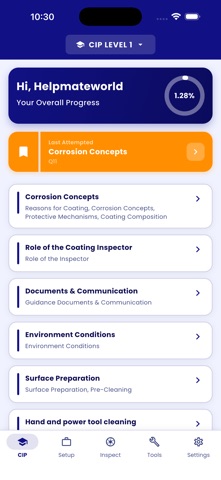 Coating Inspector screenshot