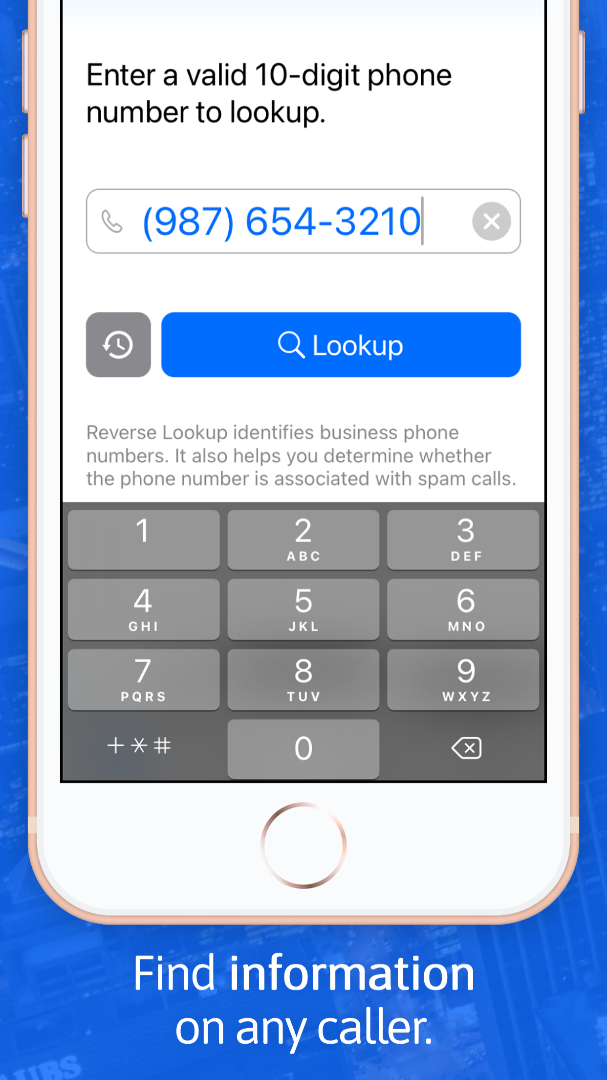 Reverse Lookup screenshot 1