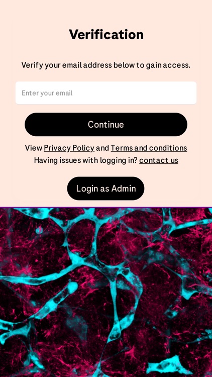 Roche Young Commissions 2025