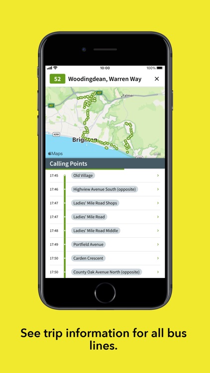 The Big Lemon screenshot-4