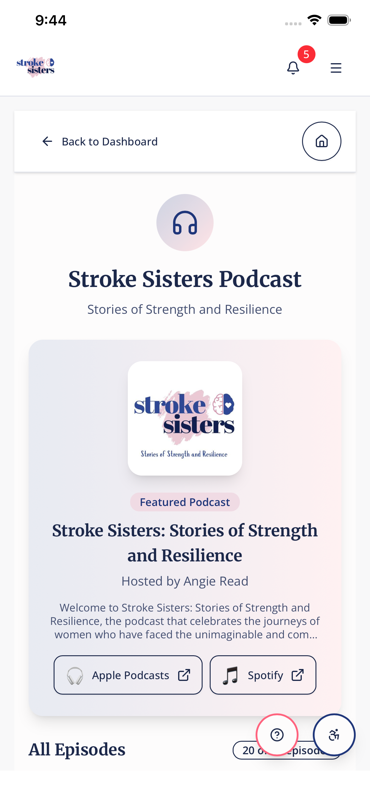 Stroke Sisters