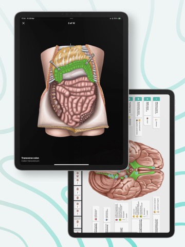 Easy Anatomy 3Dのおすすめ画像4