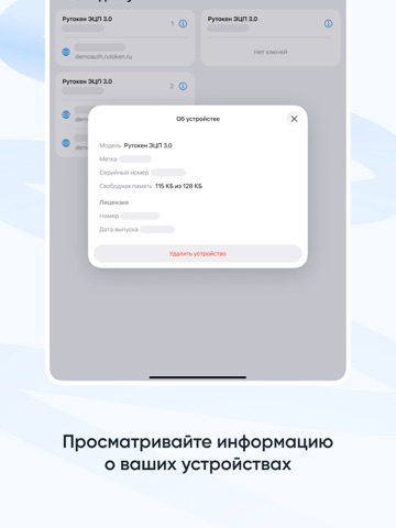 Рутокен Pass iPad screenshot