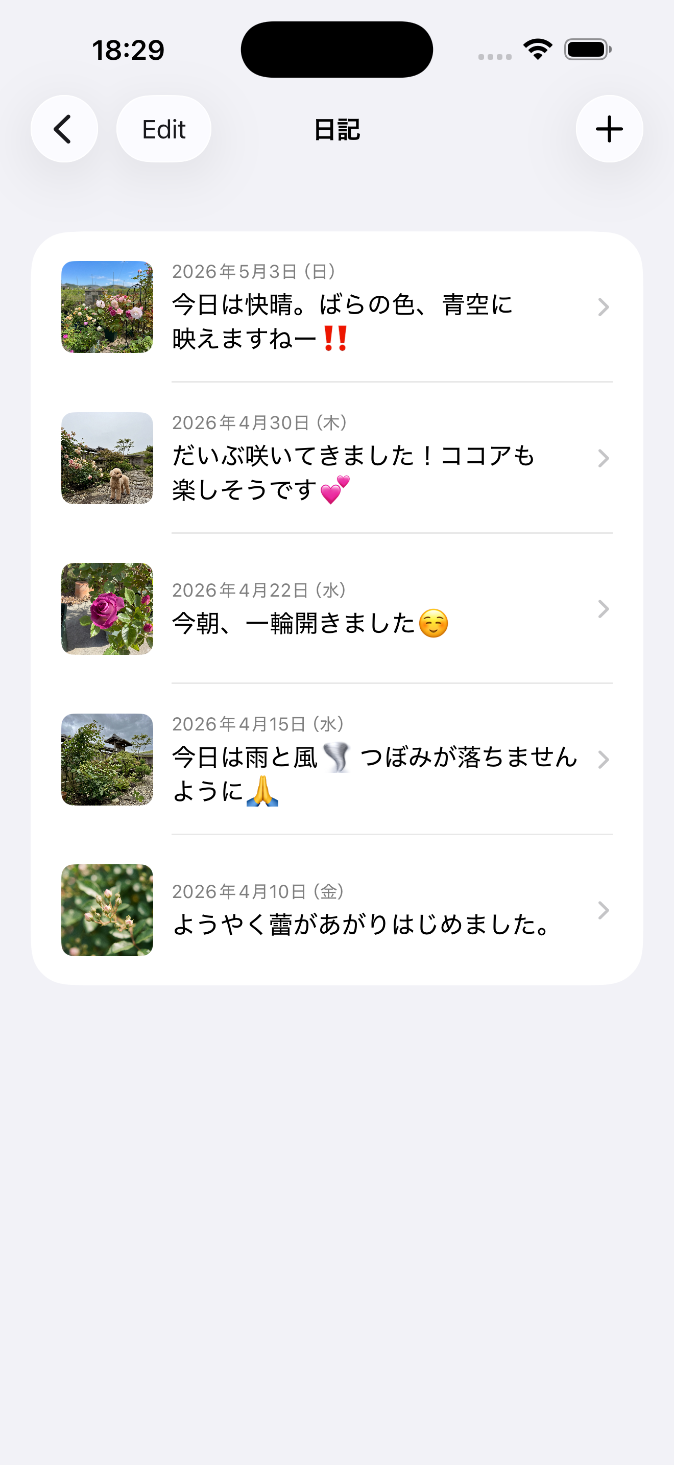 Rose Diary screenshot 6