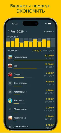 Скриншот Money Pro на iPhone 4