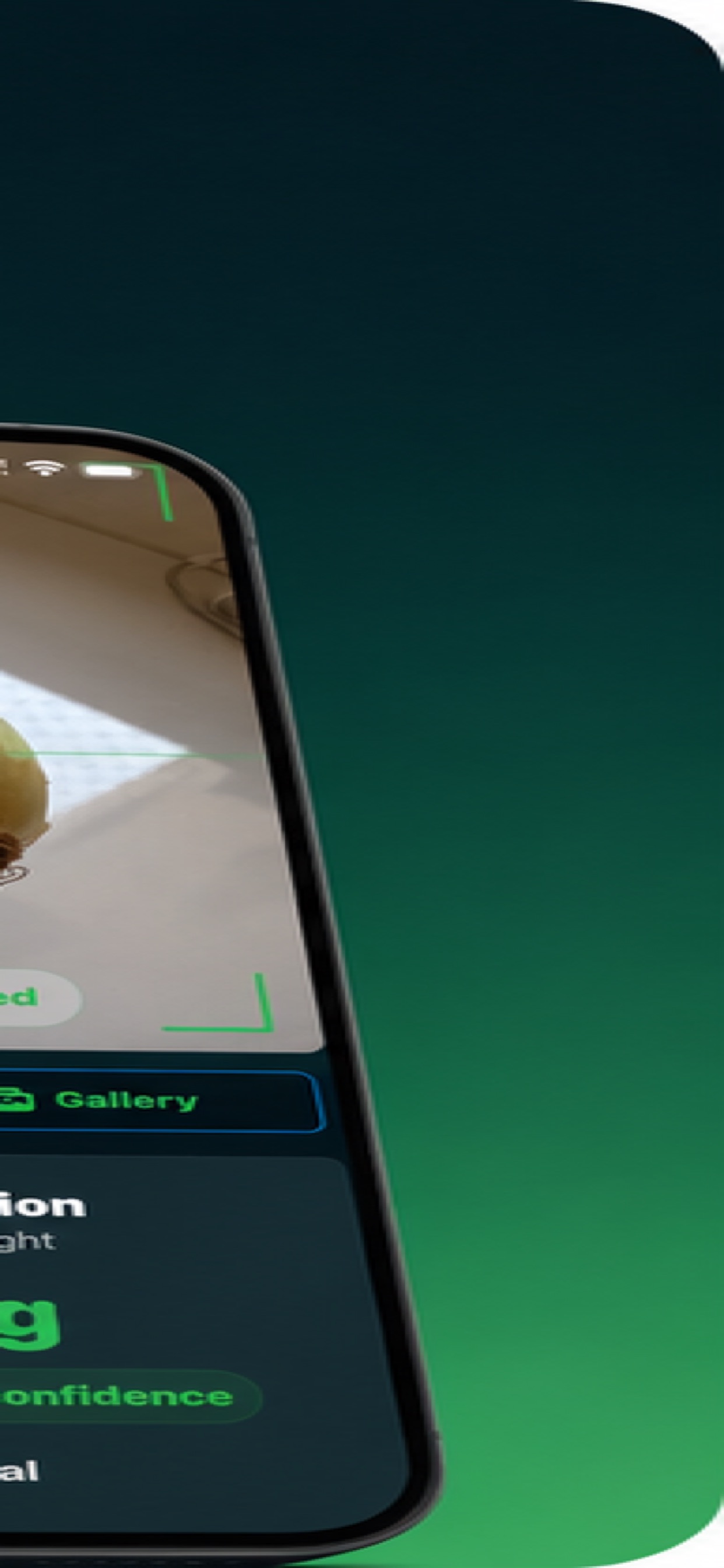 Screenshot 5 of Balança Digital - CamScale