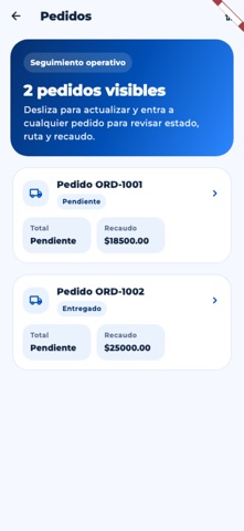 Entregas Express screenshot