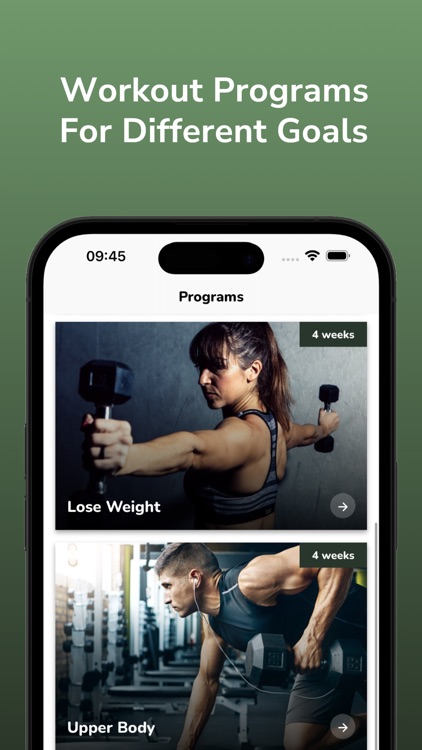 Dumbbell Workout Plan