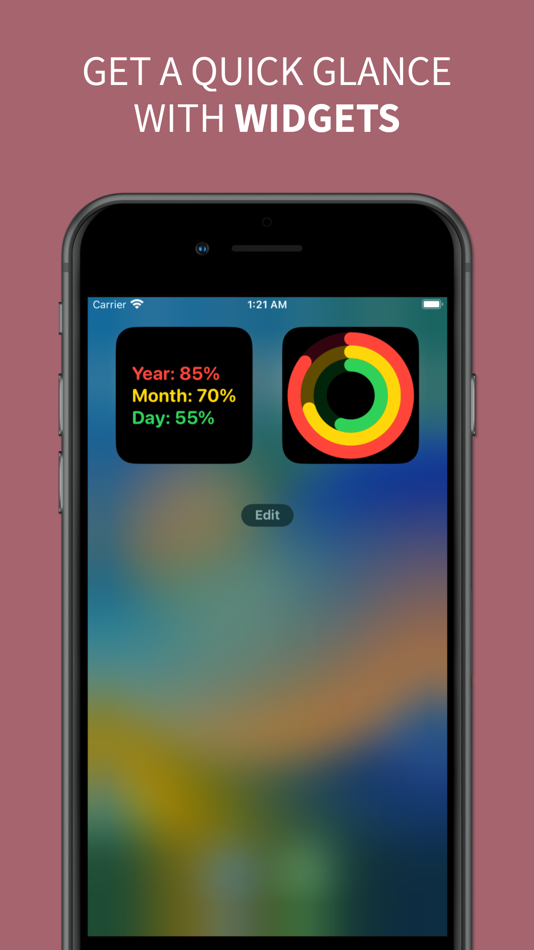 #2. Day Dial - Year Progress Bar (iOS) 由: Ginkgo Labs