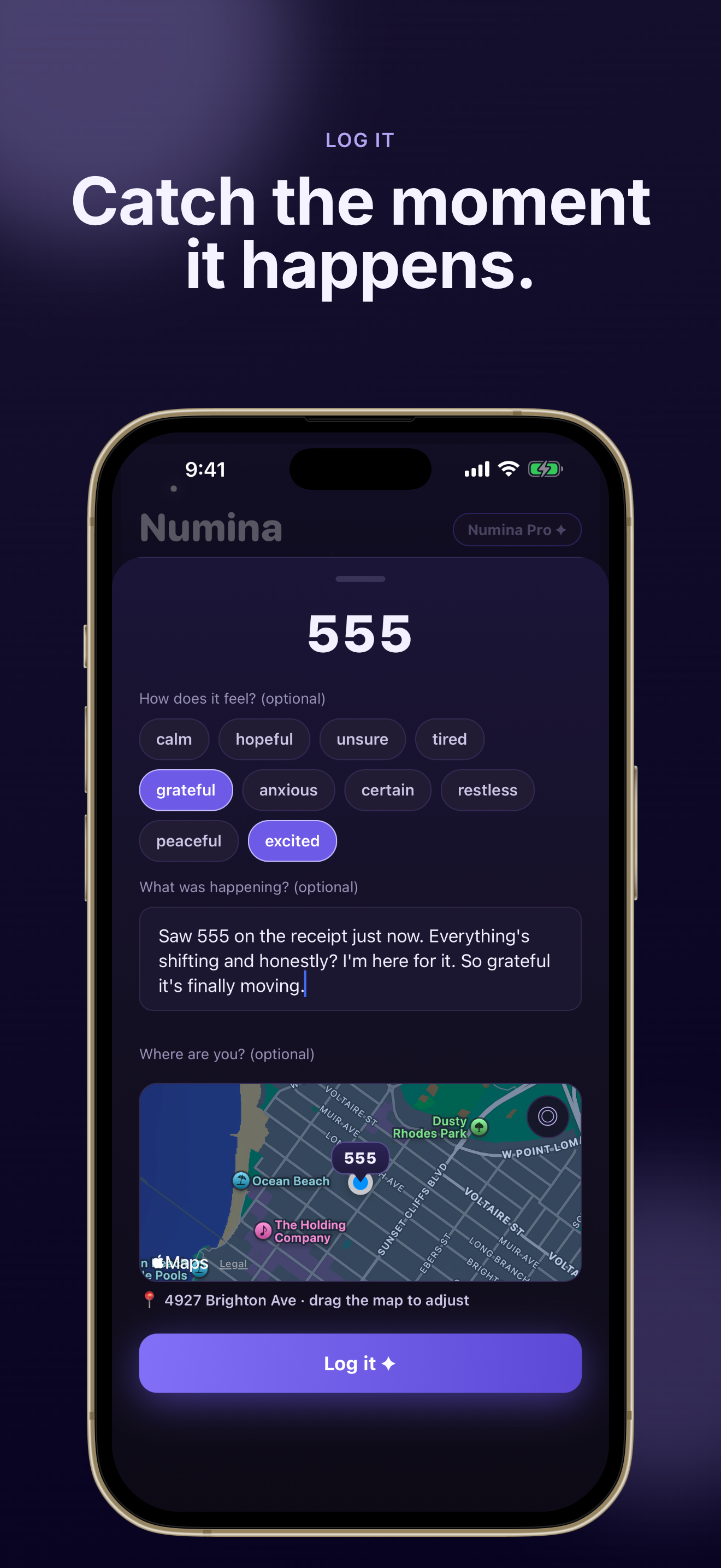 Numina: Synchronicity Journal screenshot 3