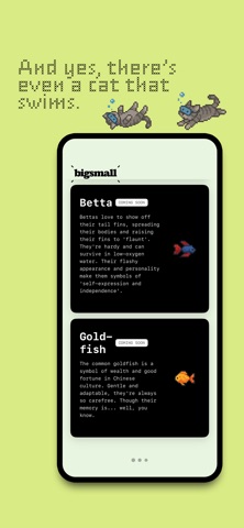 bigsmall - Fish. Cat. Widget. Screenshot 7 of 9