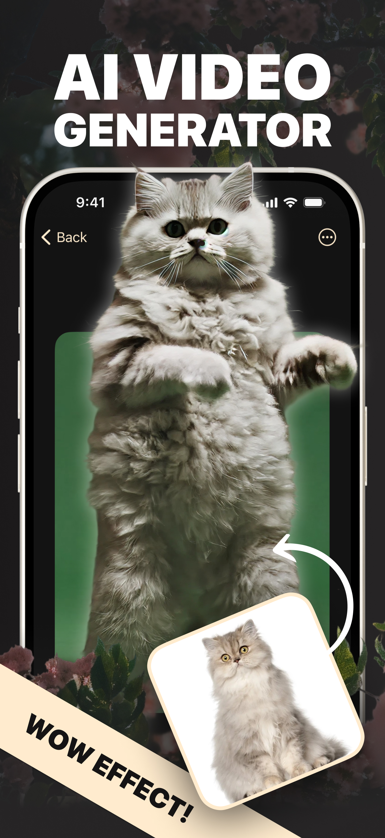 MiniMax - Video Generator