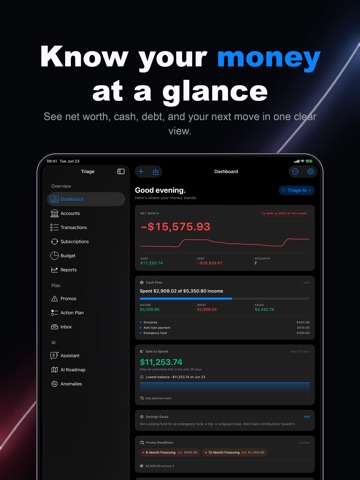 Triage: Debt Payoff & Budget iPad screenshot