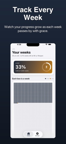 Life Weeks Grid - Memento Mori Screenshot 2 of 5