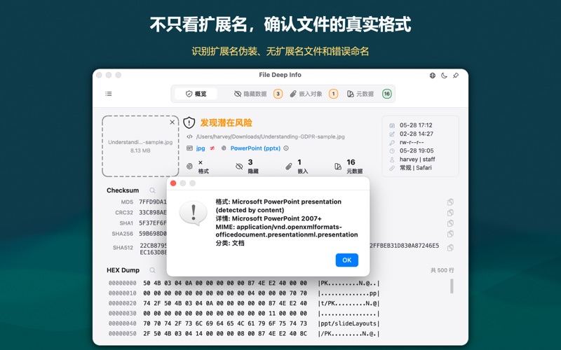 File Deep Info: 文件元数据与隐藏内容检查 screenshot