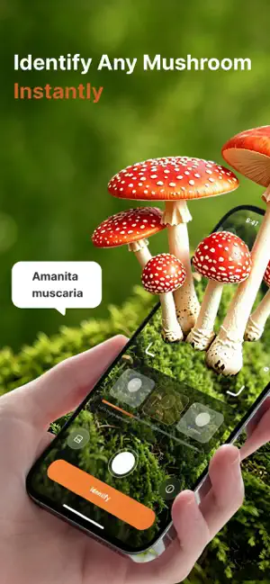 MushDex: Mushroom Identifier screenshot 1