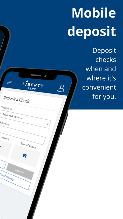 Liberty Treasury Management Screenshot