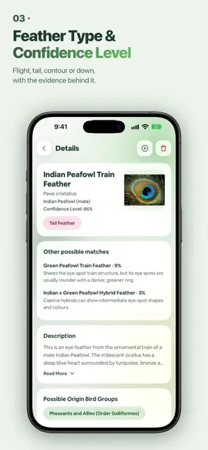 Feather Identifier: Bird Scan screenshot 3