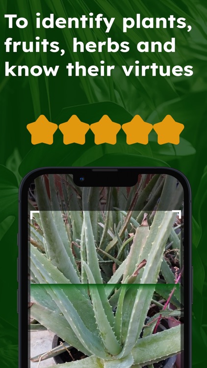 AI plant identifier and herb