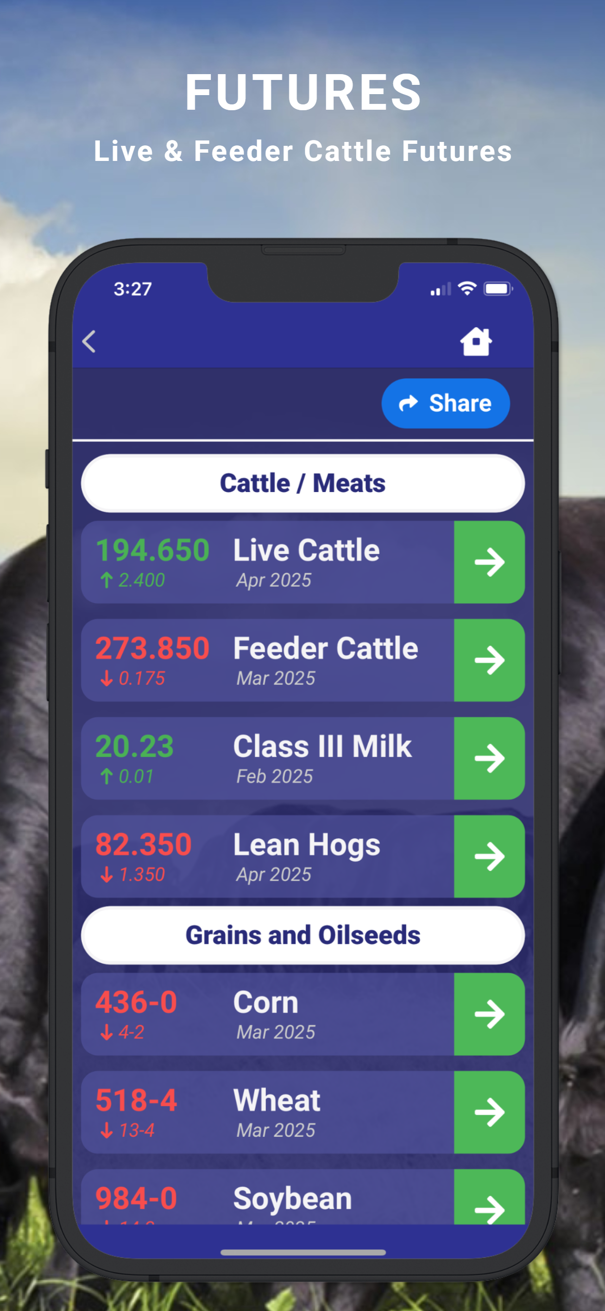 Cattle Market Mobile