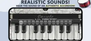 Accordion Piano Cassoto screenshot 1