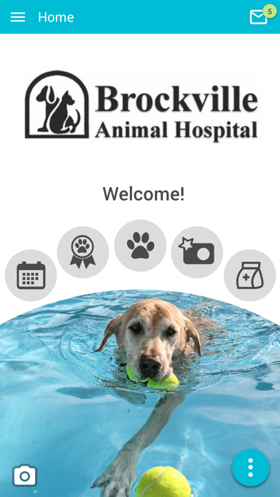 Brockville Vet Screenshot
