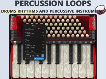 Accordion Piano Cassoto ipad screenshot 4