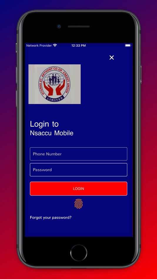 #2. Nsaccu Mobile (iOS) Podle: Glydetek Group Limited
