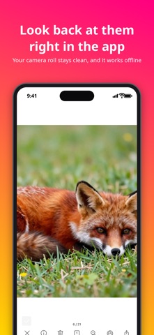 Image Bulk Saver / iDig Screenshot 5 of 5