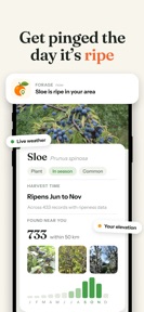 Forage: Wild Food Finder screenshot