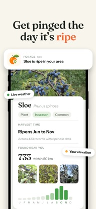 Forage: Wild Food Finder screenshot 3