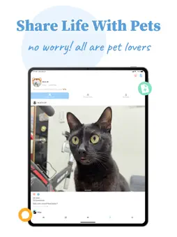 Chongpuu screenshot 7