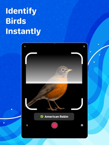 Bird Identifier: ID by Photo iPad screenshot