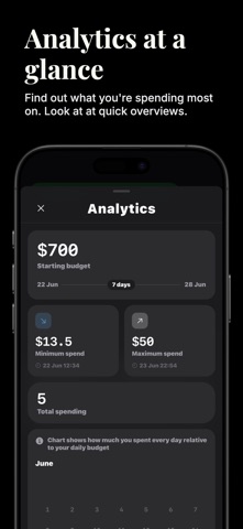 Mintseed - Daily Budgets Screenshot 2 of 4