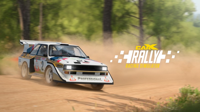 CarX Rally screenshot 10