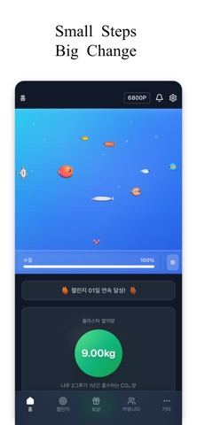 Ecostep screenshot