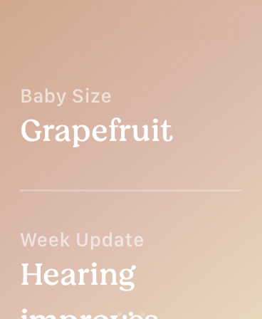 Nine+ Pregnancy Tracking