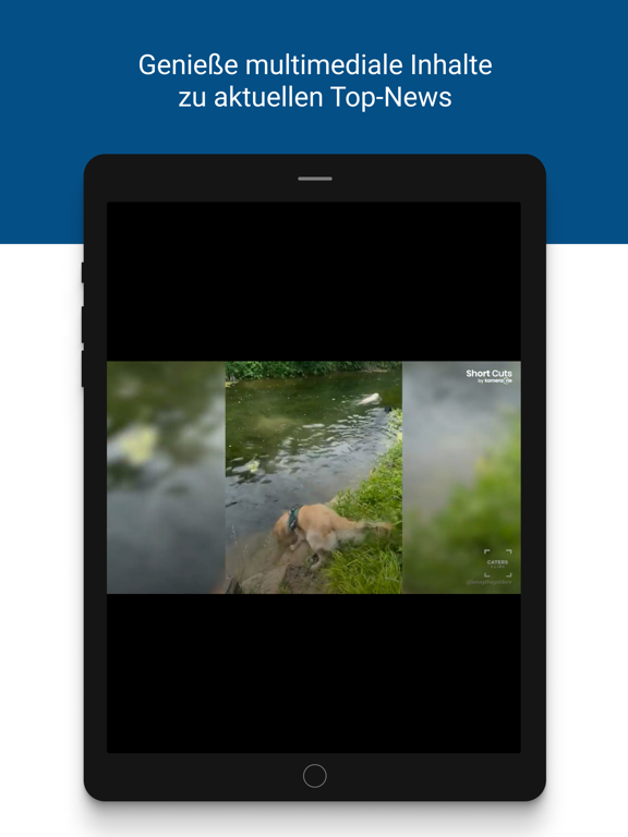 WLZ-Online iPad screenshot