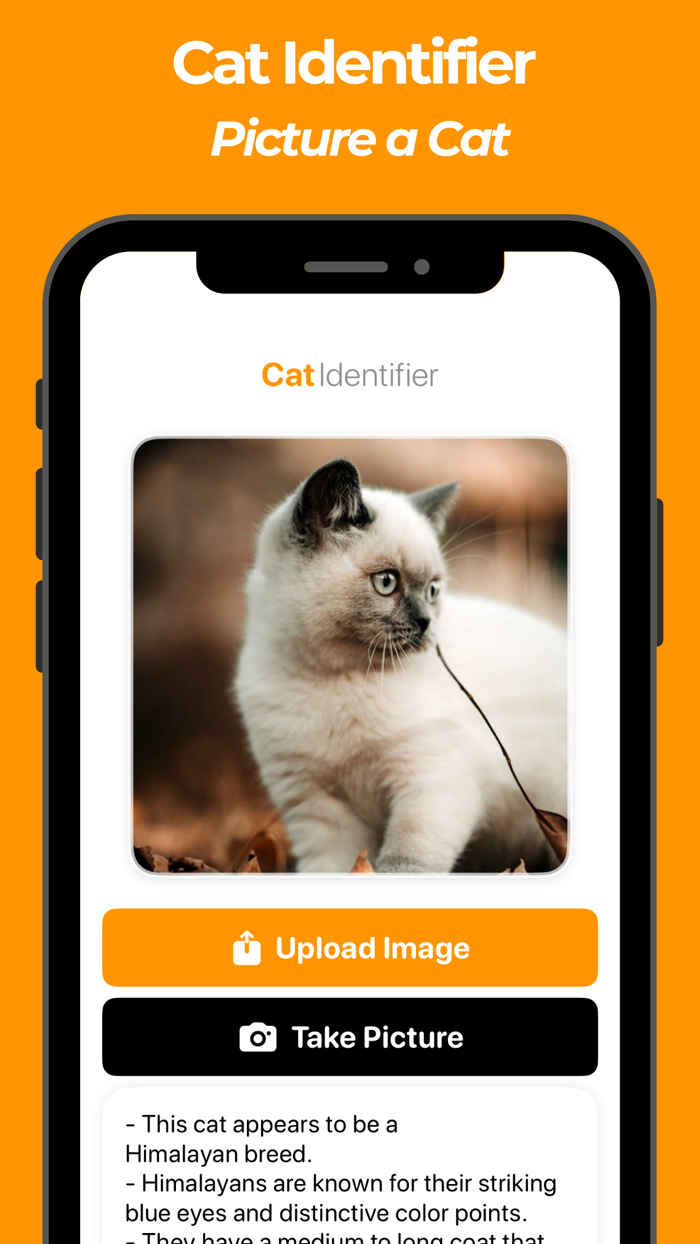 Cat Breed Identifier